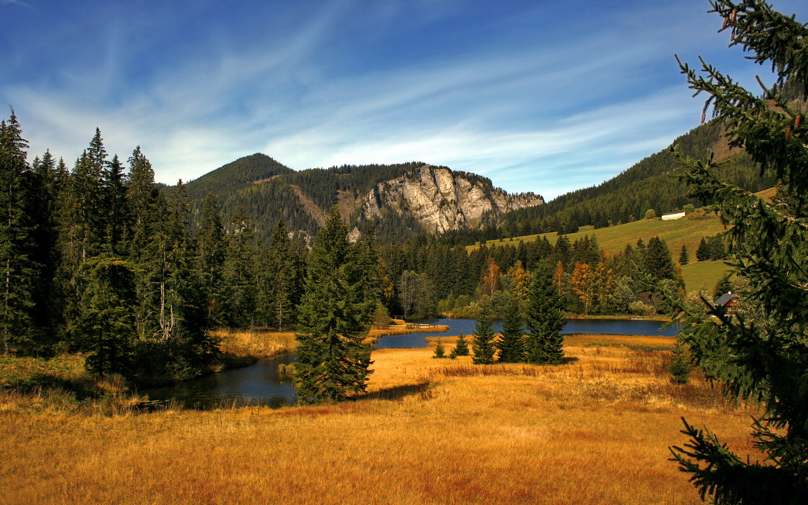开云-摩纳哥青年队获得胜利，展现实力，摩纳哥青年队在哪个联赛