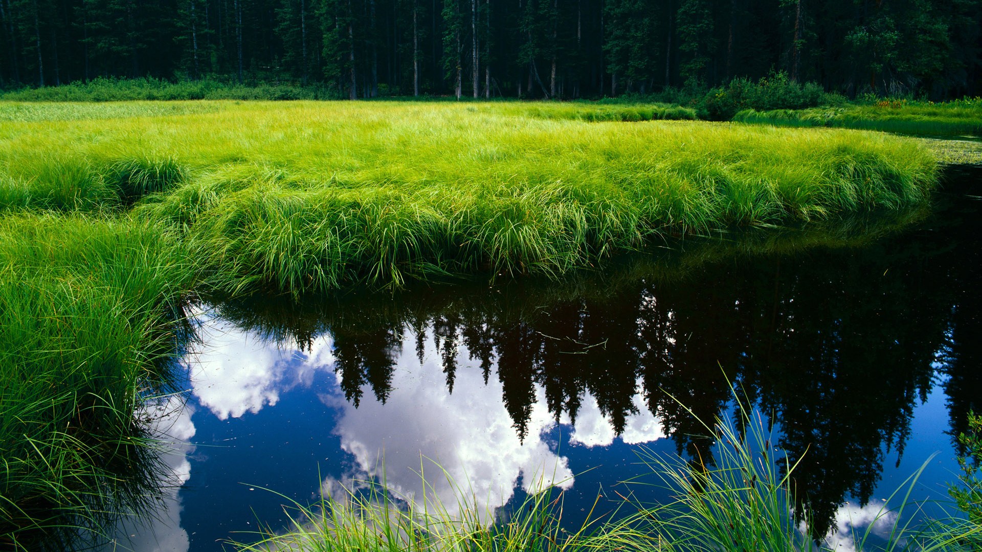 网球女单郑钦文闯入八强,绑定别人车辆要怎样审核