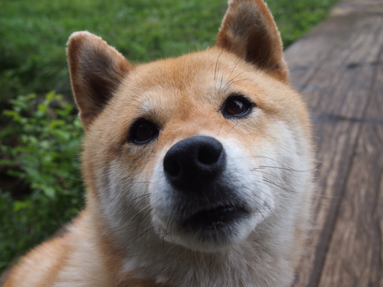 开云中国官网-联盟是否应评估球员社区形象影响