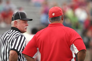 kaiyun-意甲裁判语义分析辅助判罚准确性的应用探讨，意甲裁判名单