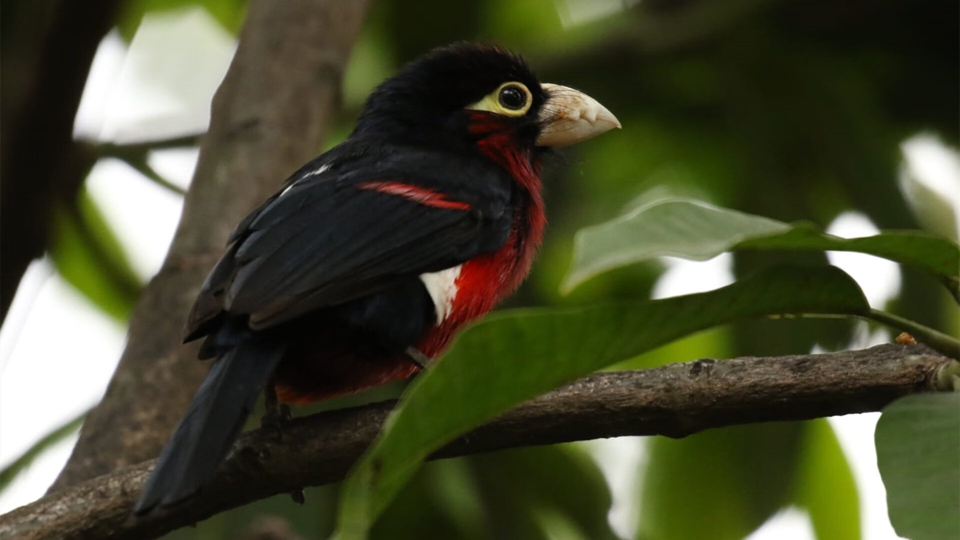 体育新闻中心推动体育传播领域AIGC成果转化,体育传播活动中新媒体使用情况调查报告