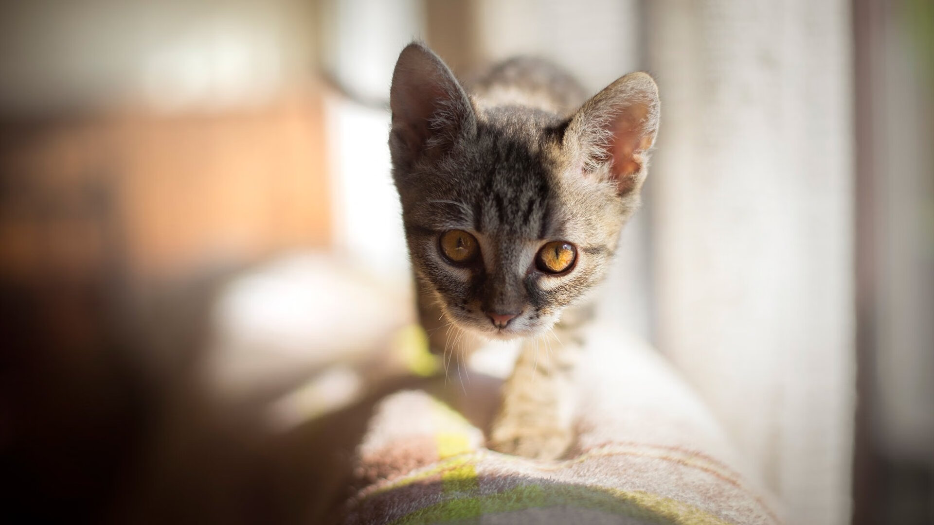 开云APP-倒三角布局带来控场优势，倒三角战术解析