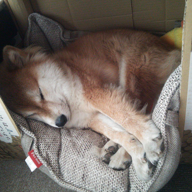 开云下载-意甲豪门争霸：战术布局引领足球新风！，意甲八大豪门