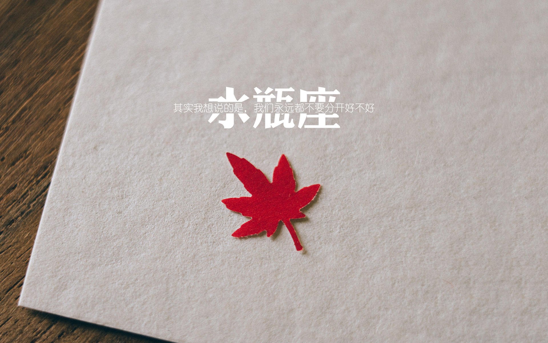 训练视频展现专业水准,训练视频教程