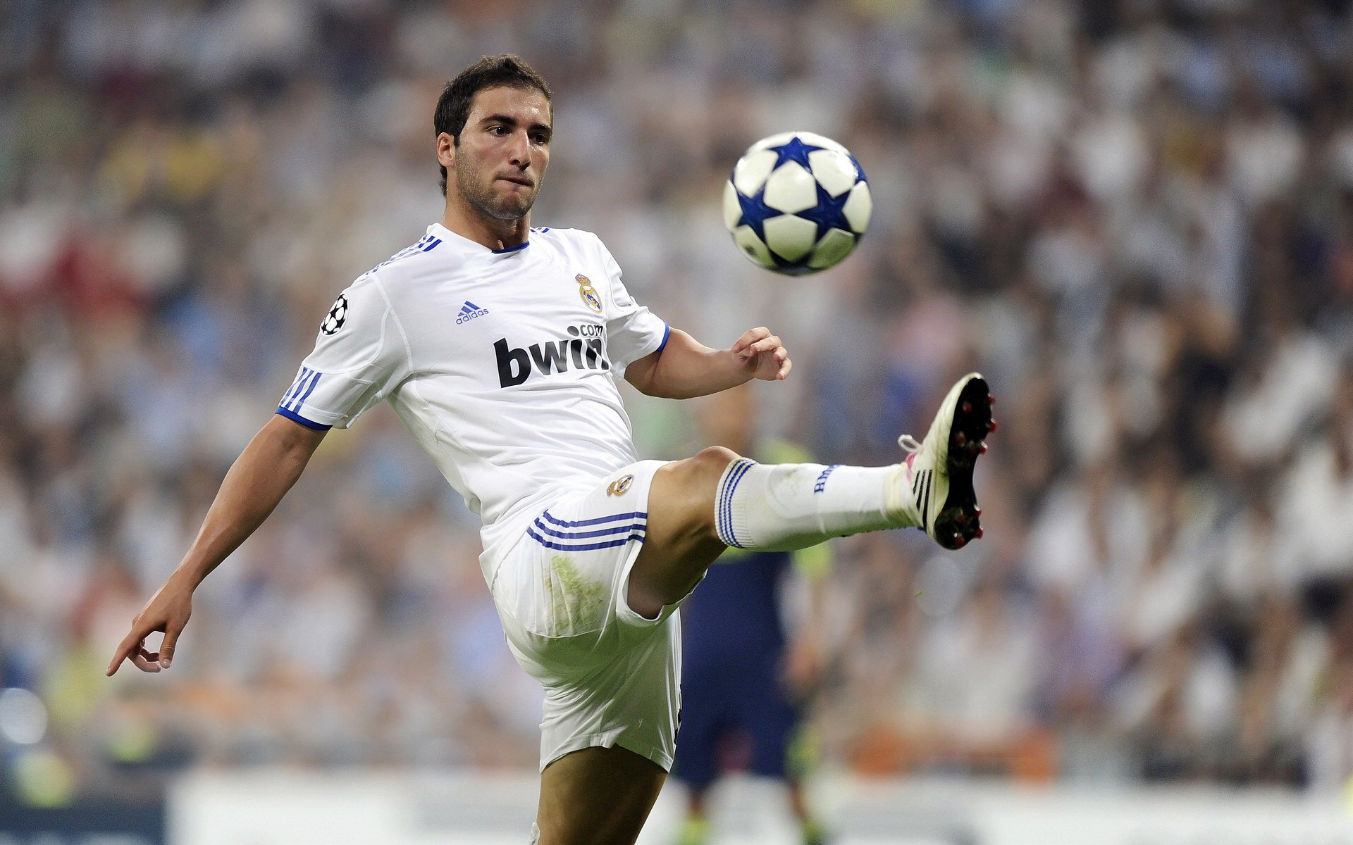 哈里·凯恩转会拜仁，挑战德甲，哈里凯恩进球集锦