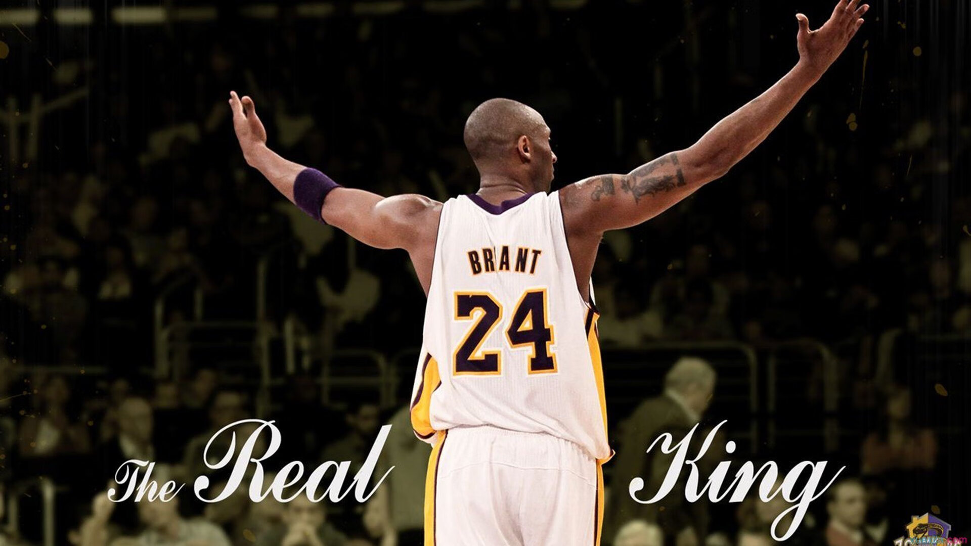 开云官方网站-库里：击碎“内线王者”的传统，“箭”术领风骚！，库里的技能