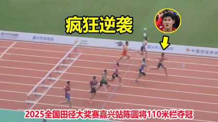 关于跨栏锦标赛：谁是栏架上的飞人？的信息