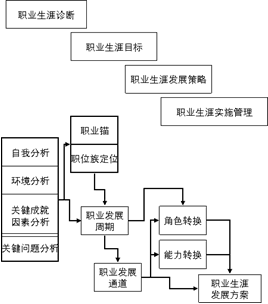 职业生涯中的目标设定与心理战术